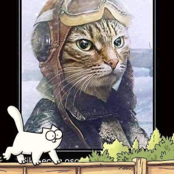 Meet your Posher, Jane...Posh Ambassador! - Picture 9 of 16